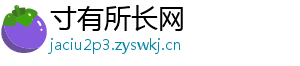 寸有所长网